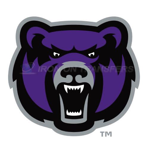 Central Arkansas Bears Iron-on Stickers (Heat Transfers)NO.4108
